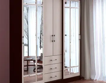 Шкаф-купе Маэстро венге