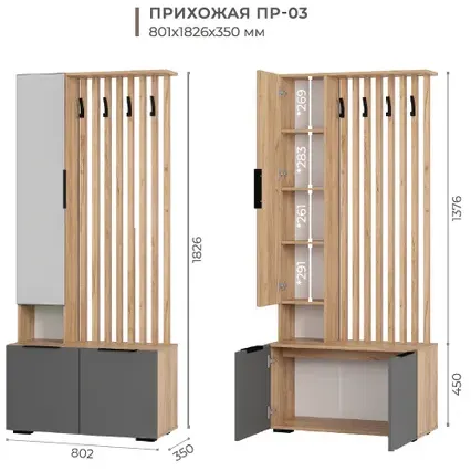 Прихожая Сандра ПР-03 крафт/графит